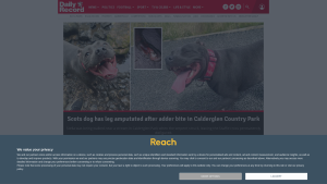 Latest dailyrecord.co.uk screenshot